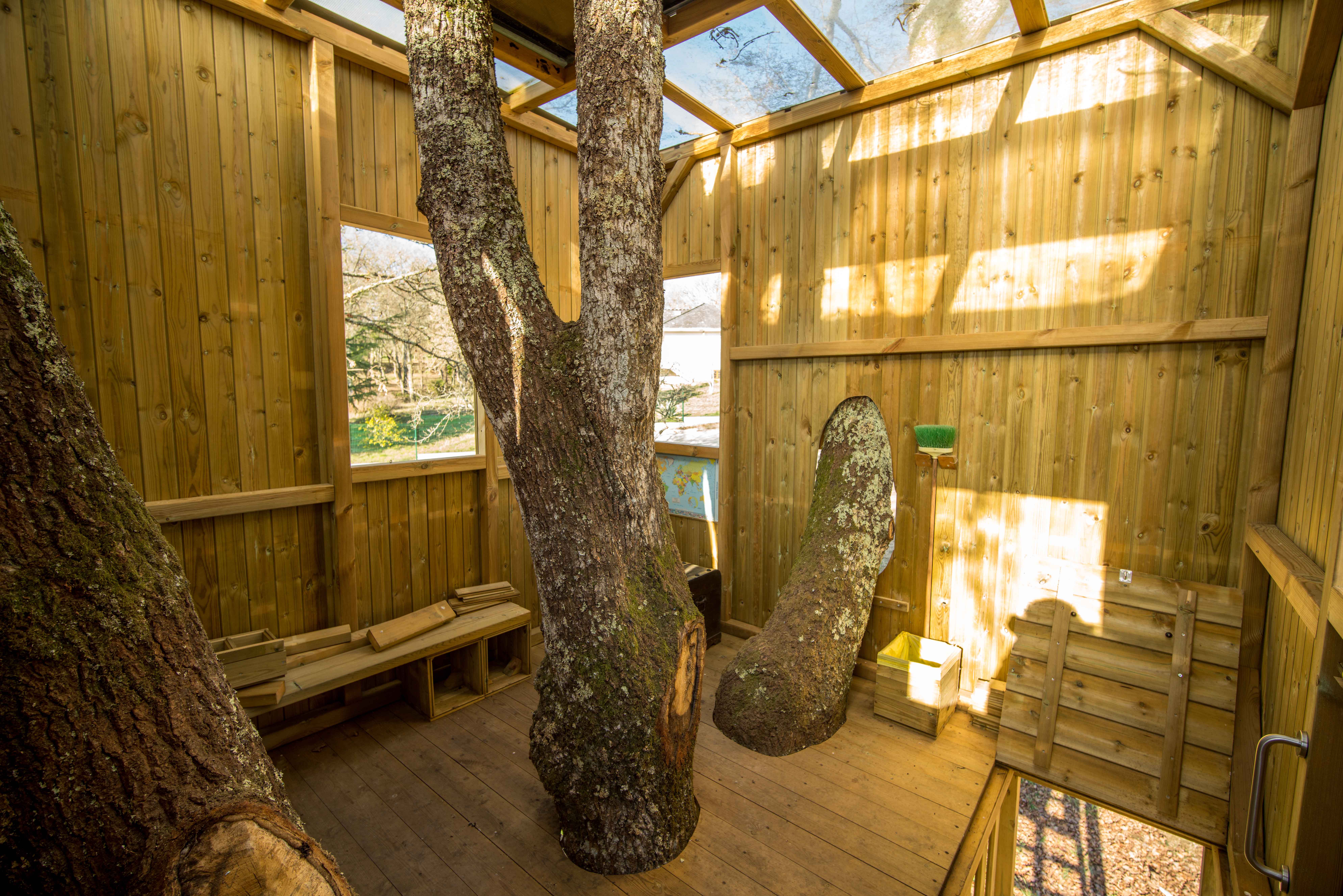 Interior de la casa en el árbol de José Alonso arquitecto en O Corgo (Lugo)