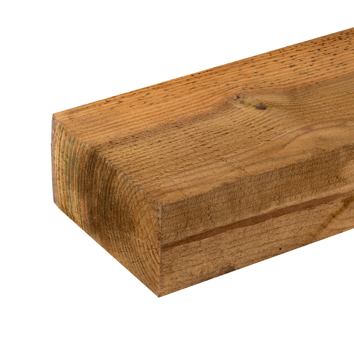 Savia traviesa eco de pino