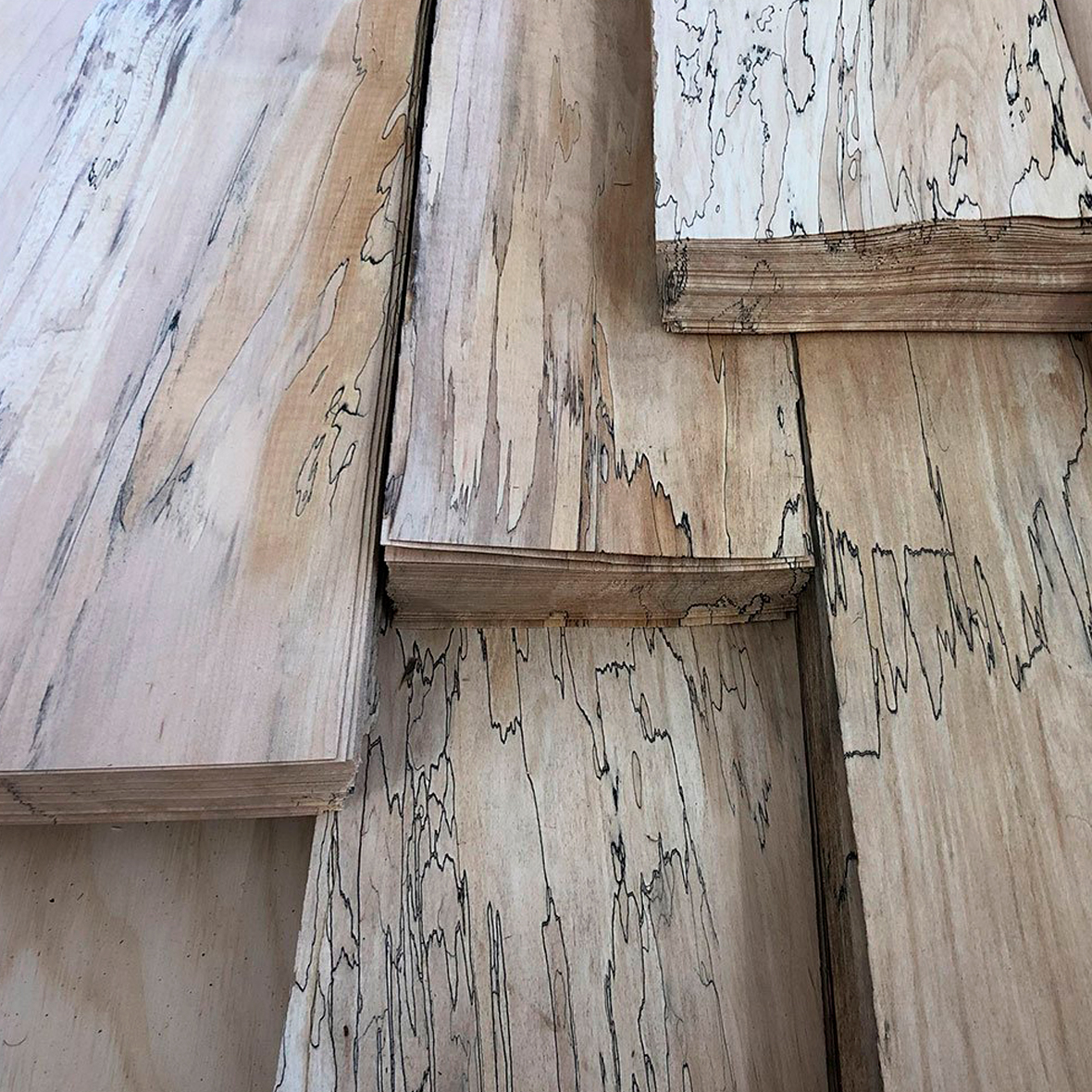 Vermont Wildwoods chapa espaltada spalted wood