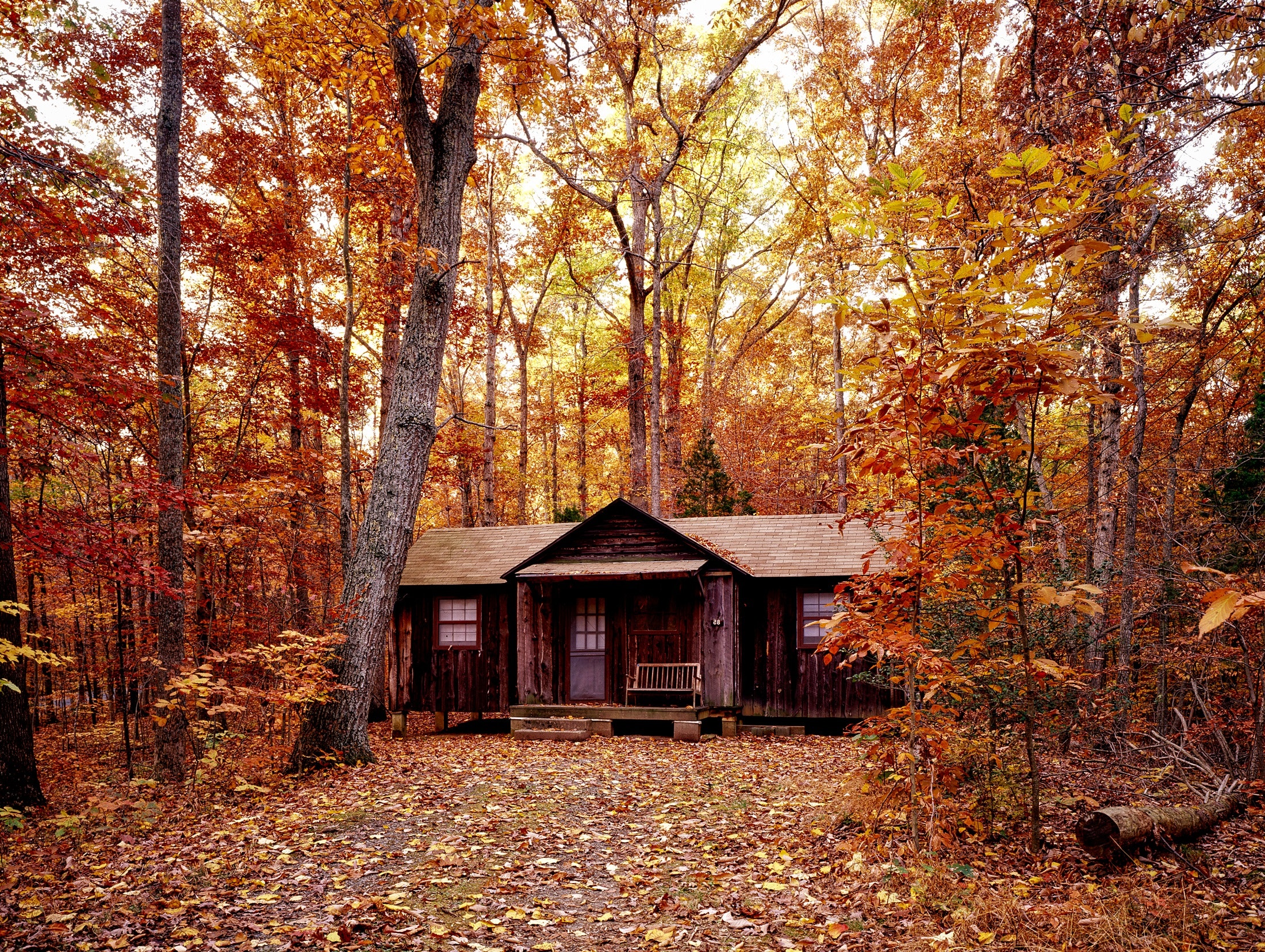 cabaña de madera en la naturaleza