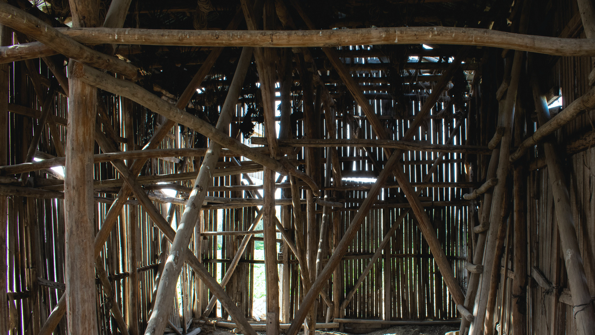 Interior de un secadero con estructura de madera de chopo. Fotografía de Alfredo Ávila.