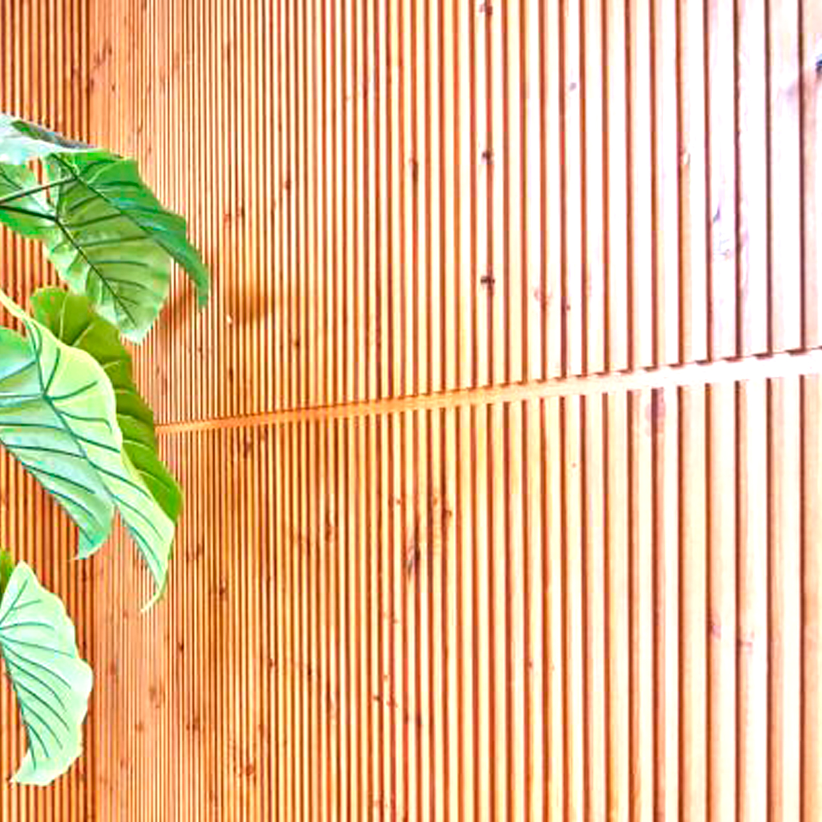 Frisonoble perfil de pino ranurado para revestimiento exterior o interior